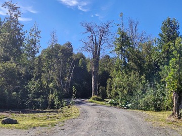 Venta / Parcela / Puerto Varas