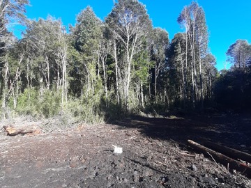 Imagen 10