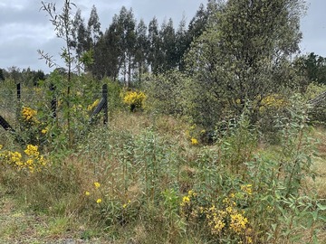 Imagen 6