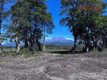 Imagen 7