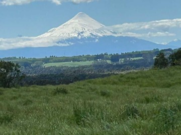 Venta / Parcela / Puerto Varas