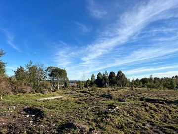 Venta / Parcela / Puerto Varas