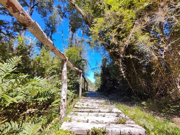 Venta / Parcela / Puerto Varas