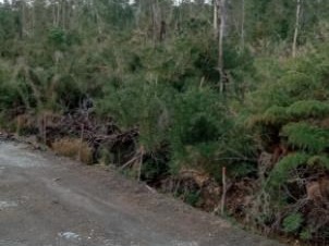 Imagen 4