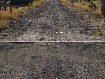 Imagen 7