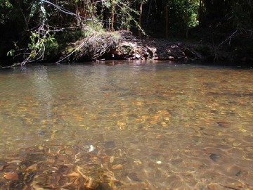 Imagen 8