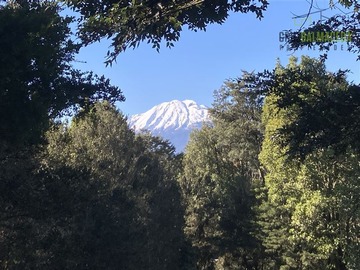 Venta / Parcela / Puerto Varas