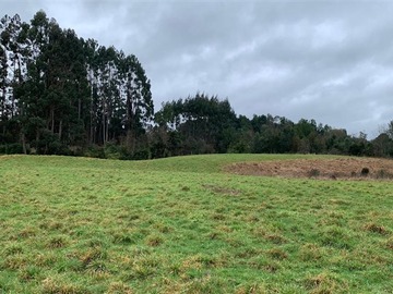 Venta / Parcela / Puerto Varas