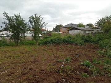 Imagen 6