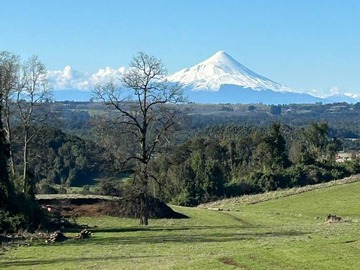 Venta / Parcela / Puerto Varas