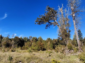 Venta / Parcela / Puerto Varas