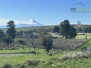 Imagen 7