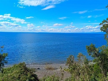 Venta / Parcela / Puerto Varas