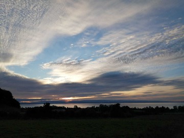 Venta / Parcela / Puerto Varas