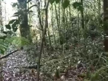 Venta / Parcela / Puerto Varas