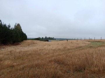 Venta / Parcela / Puerto Varas