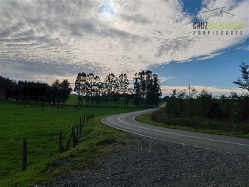 Imagen 17