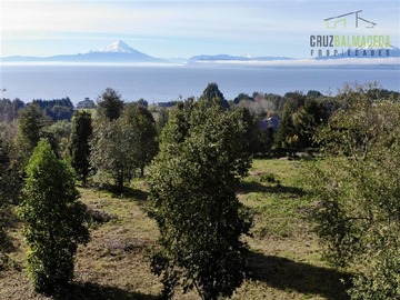 Imagen 7