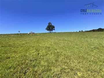 Imagen 26