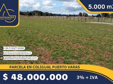 Venta / Parcela / Puerto Varas