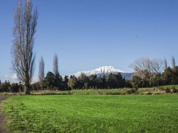 Venta / Parcela / Puerto Varas