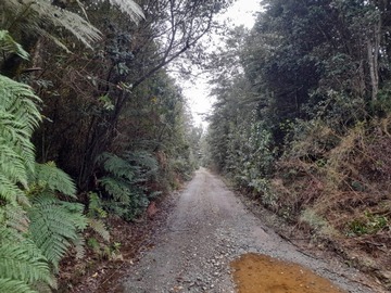 Venta / Parcela / Puerto Varas