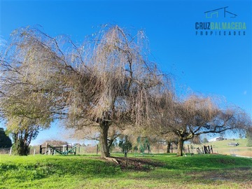 Imagen 8