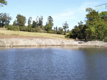 Imagen 8