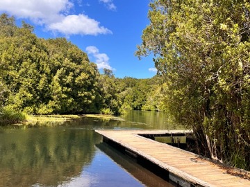 Venta / Parcela / Puerto Varas
