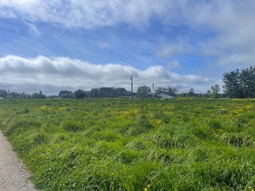 Venta / Parcela / Puerto Varas