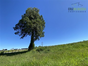 Imagen 7