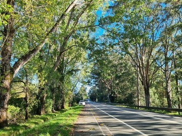 Venta / Parcela / Puerto Varas