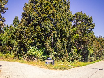 Venta / Parcela / Puerto Varas