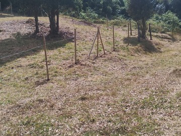 Imagen 6