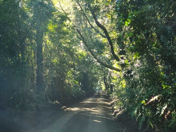 Imagen 4