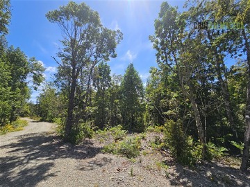 Venta / Parcela / Puerto Varas