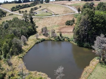 Imagen 10