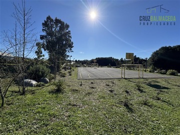 Imagen 13