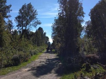 Venta / Parcela / Puerto Varas