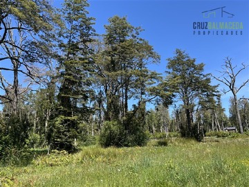 Venta / Parcela / Puerto Varas