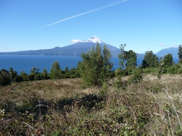 Venta / Parcela / Puerto Varas