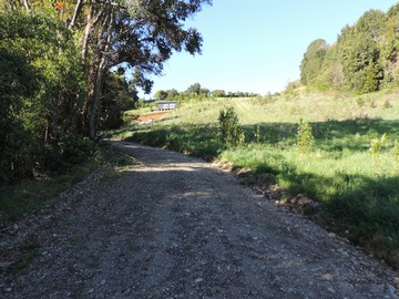 Imagen 10