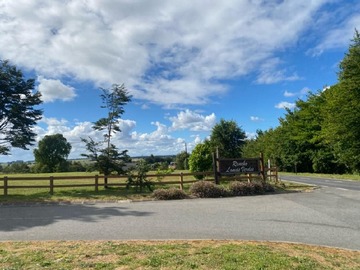 Venta / Parcela / Puerto Varas