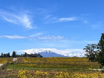 Venta / Parcela / Puerto Varas