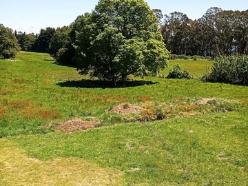 Venta / Parcela / Puerto Varas