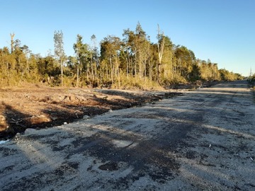 Imagen 6
