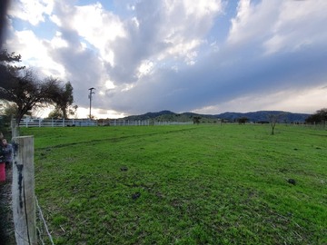 Venta / Parcela / Pumanque