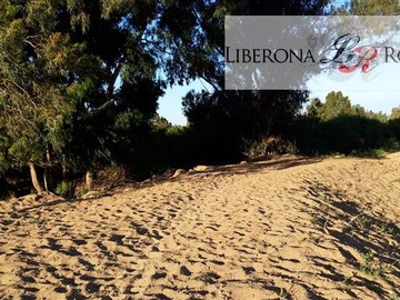 Imagen 7