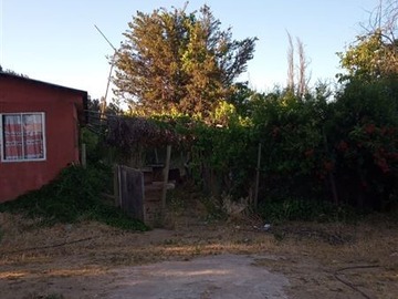 Imagen 21