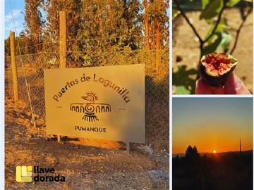 Venta / Parcela / Pumanque